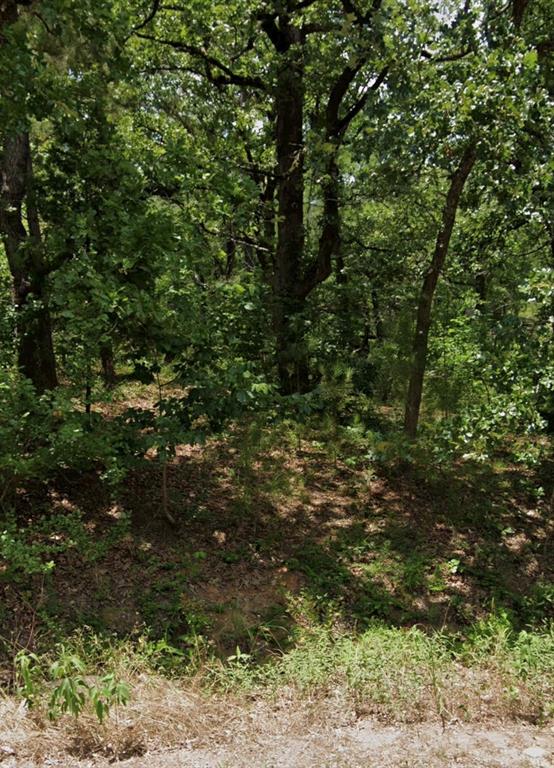 5343 Sam Bass Property Photo 3