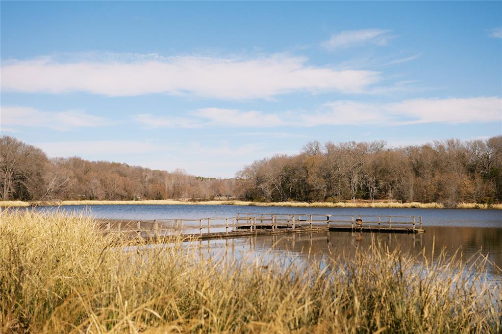 Tbd Lot 3 County Road 2200 Property Photo 4
