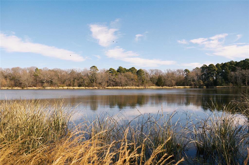Tbd Lot 3 County Road 2200 Property Photo 5