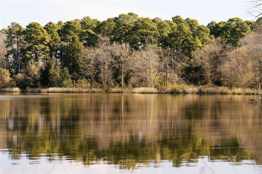 Tbd Lot 3 County Road 2200 Property Photo 6