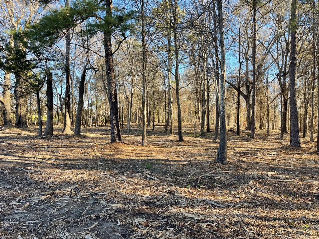 Tbd Lot 3 County Road 2200 Property Photo 7