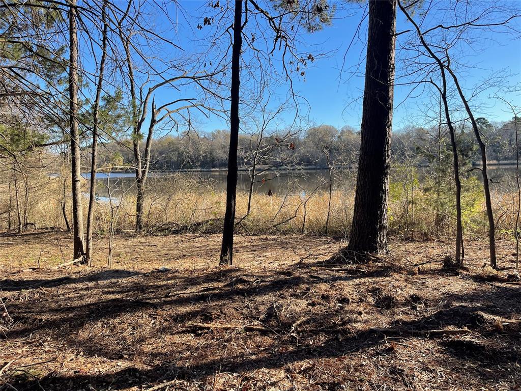 Tbd Lot 3 County Road 2200 Property Photo 8