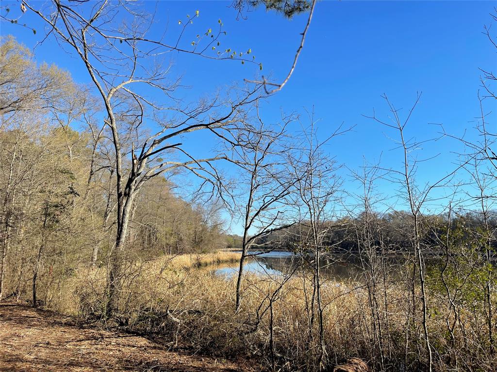 Tbd Lot 3 County Road 2200 Property Photo 9