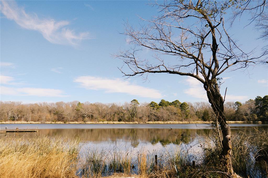 Tbd Lot 3 County Road 2200 Property Photo 13