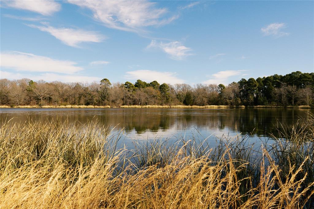 Tbd Lot 3 County Road 2200 Property Photo 14