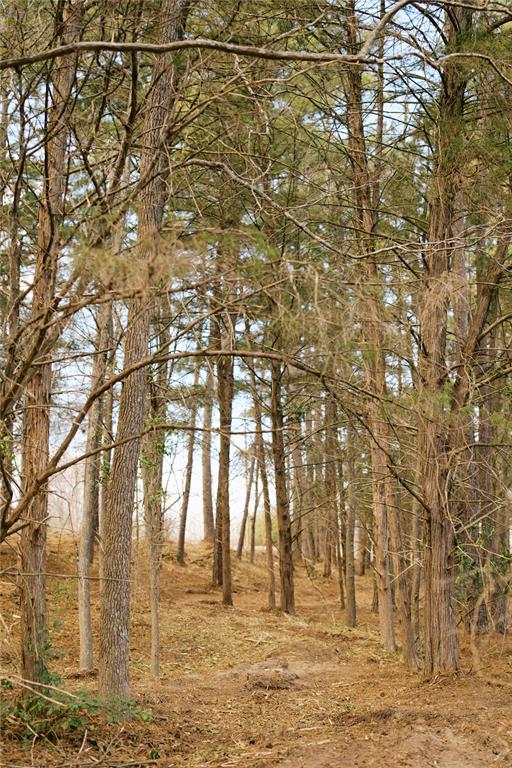 Tbd Lot 3 County Road 2200 Property Photo 15