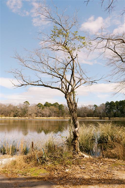 Tbd Lot 3 County Road 2200 Property Photo 16