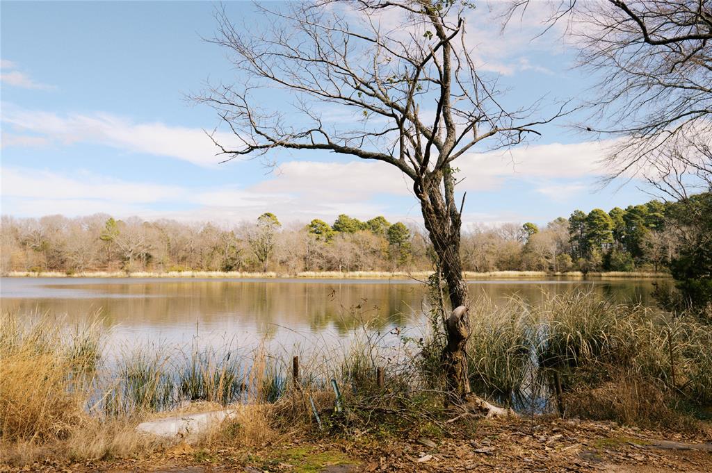 Tbd Lot 3 County Road 2200 Property Photo 17