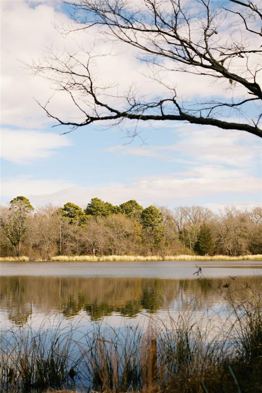 Tbd Lot 3 County Road 2200 Property Photo 18