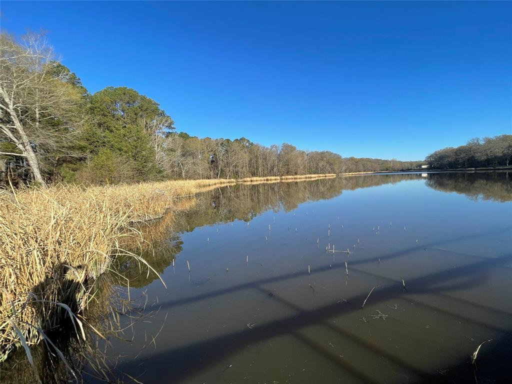 Tbd Lot 3 County Road 2200 Property Photo 19