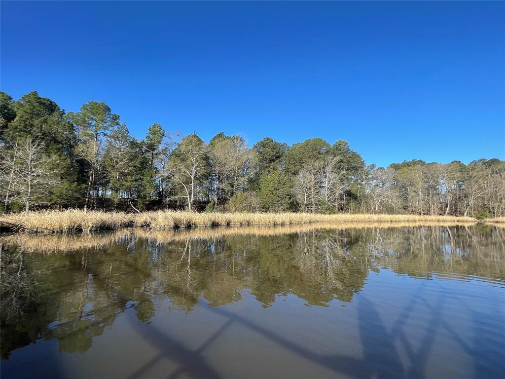 Tbd Lot 3 County Road 2200 Property Photo 20