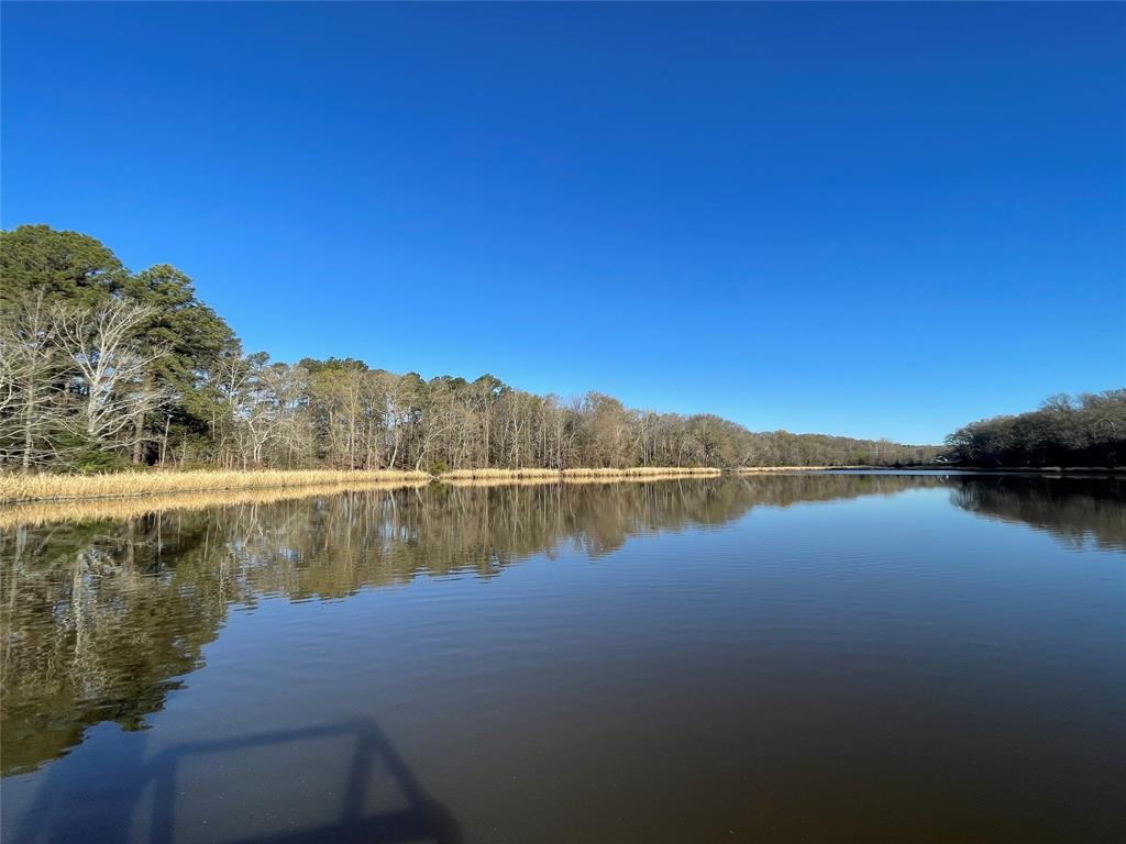 Tbd Lot 3 County Road 2200 Property Photo 21