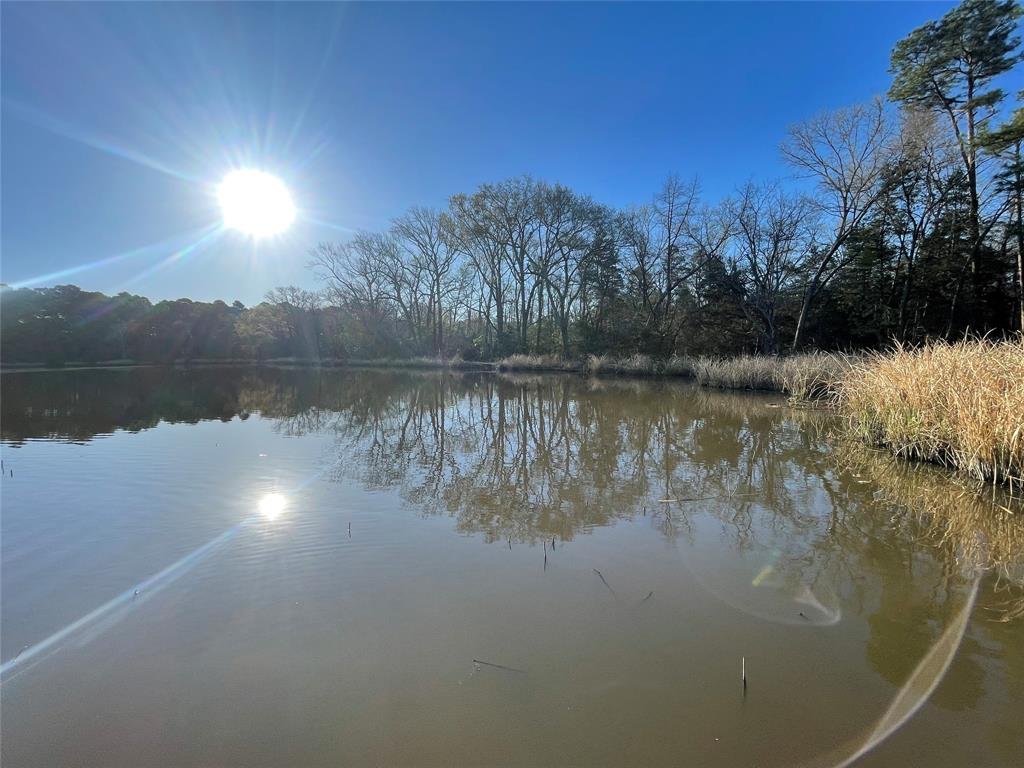 Tbd Lot 3 County Road 2200 Property Photo 22