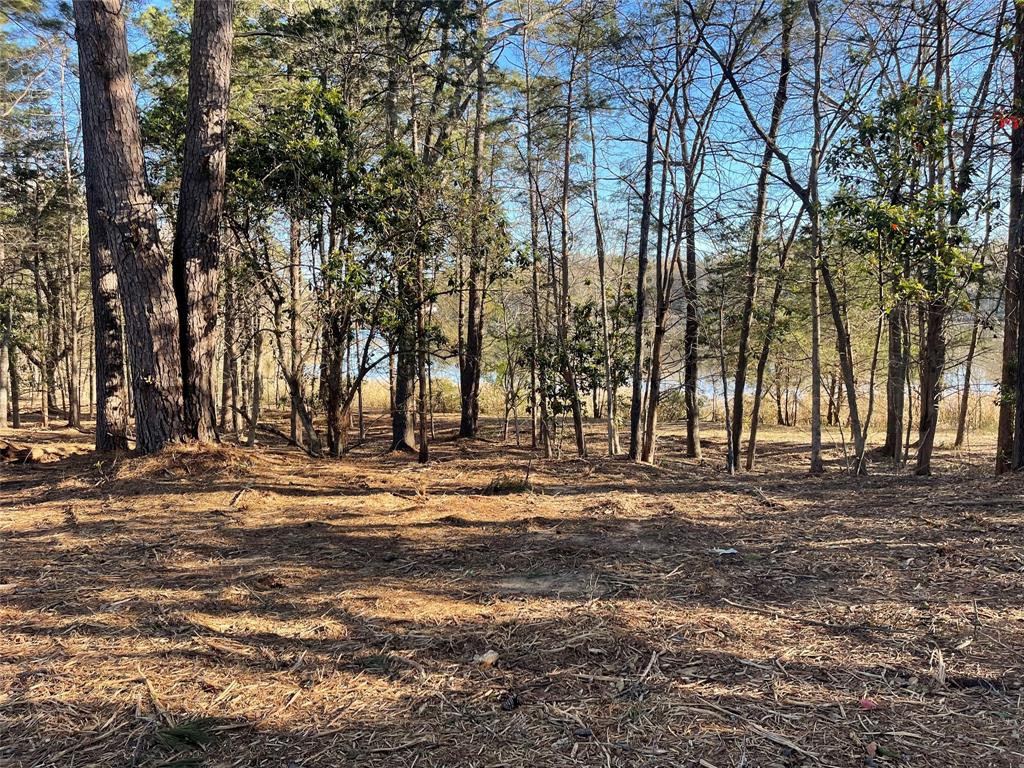 Tbd Lot 3 County Road 2200 Property Photo 23