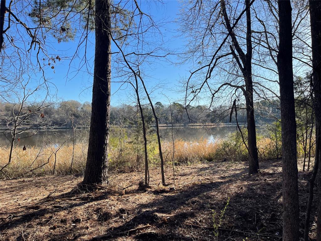 Tbd Lot 3 County Road 2200 Property Photo 25