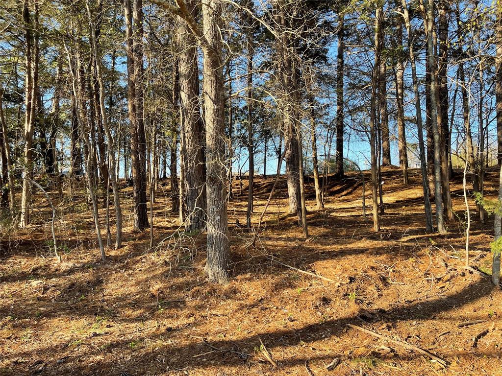 Tbd Lot 3 County Road 2200 Property Photo 26