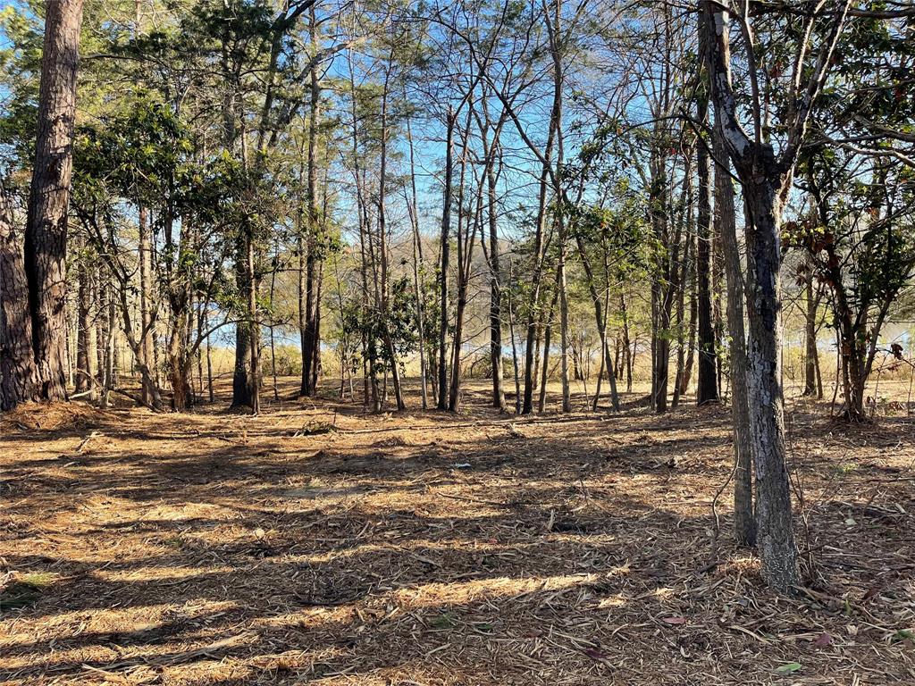 Tbd Lot 3 County Road 2200 Property Photo 27