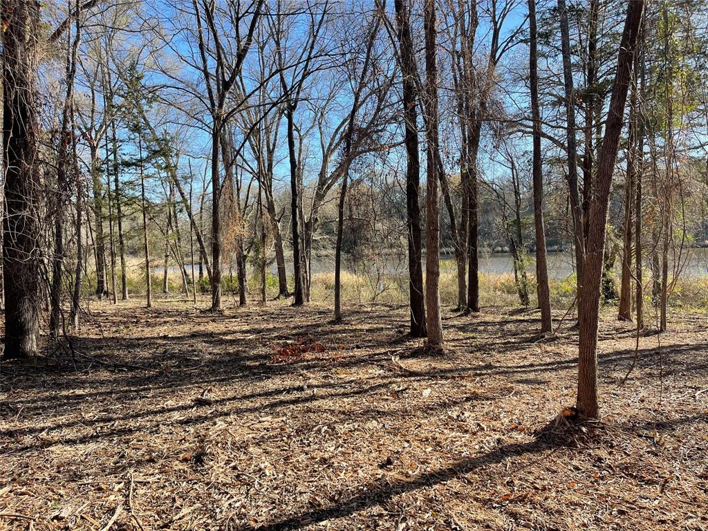 Tbd Lot 3 County Road 2200 Property Photo 28