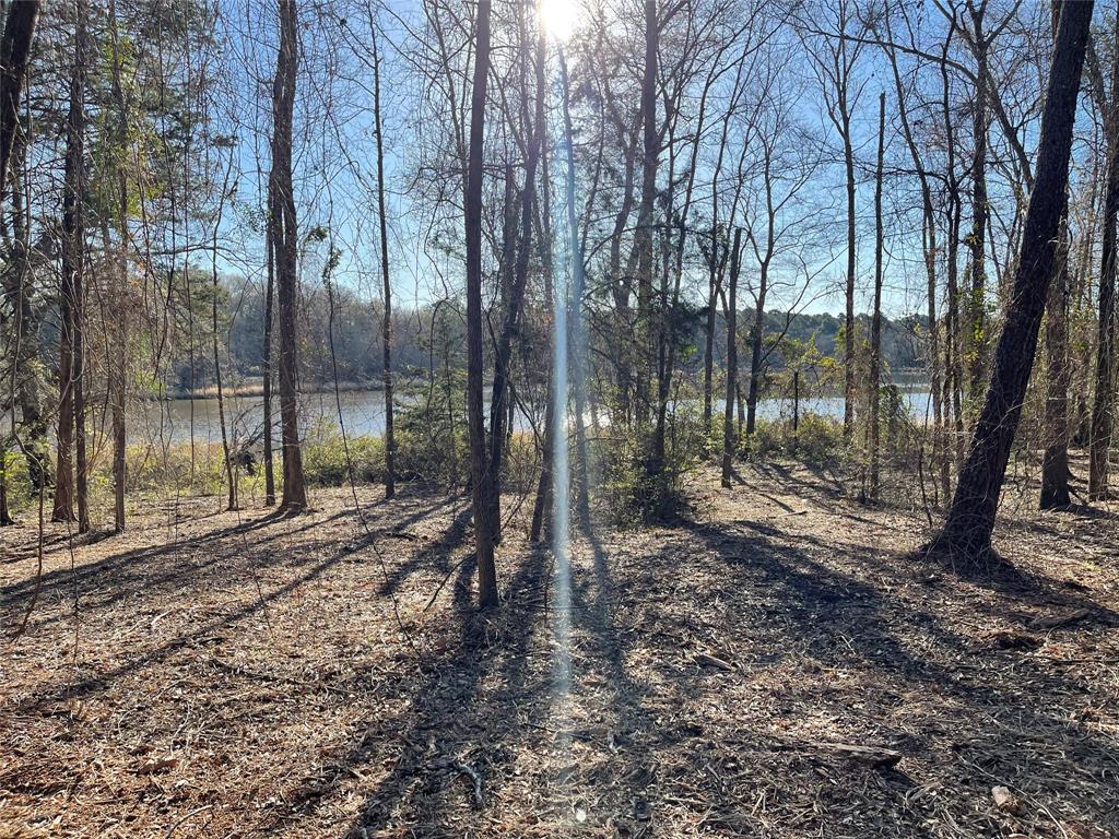 Tbd Lot 3 County Road 2200 Property Photo 29