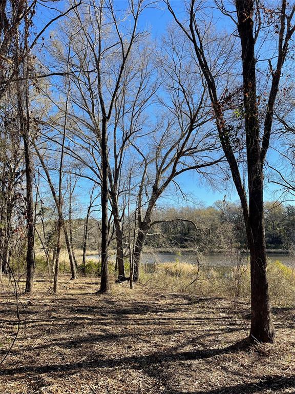Tbd Lot 3 County Road 2200 Property Photo 30
