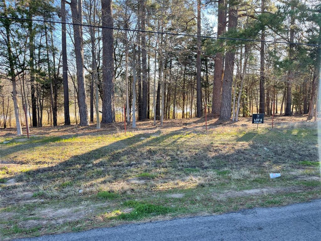 Tbd Lot 3 County Road 2200 Property Photo 32
