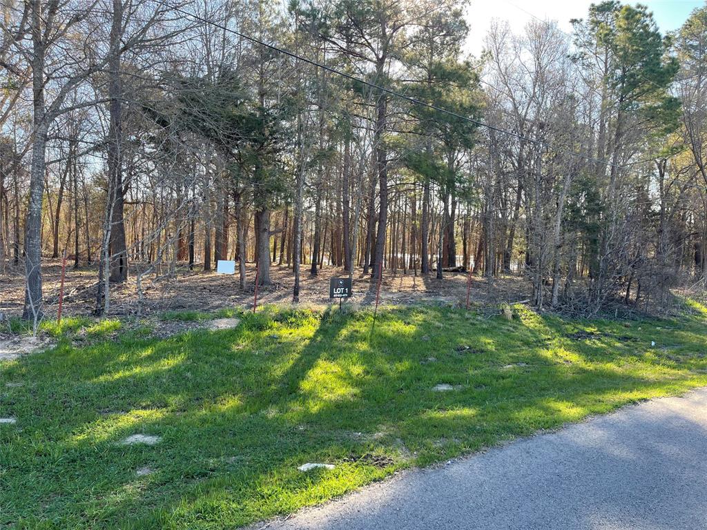 Tbd Lot 3 County Road 2200 Property Photo 33