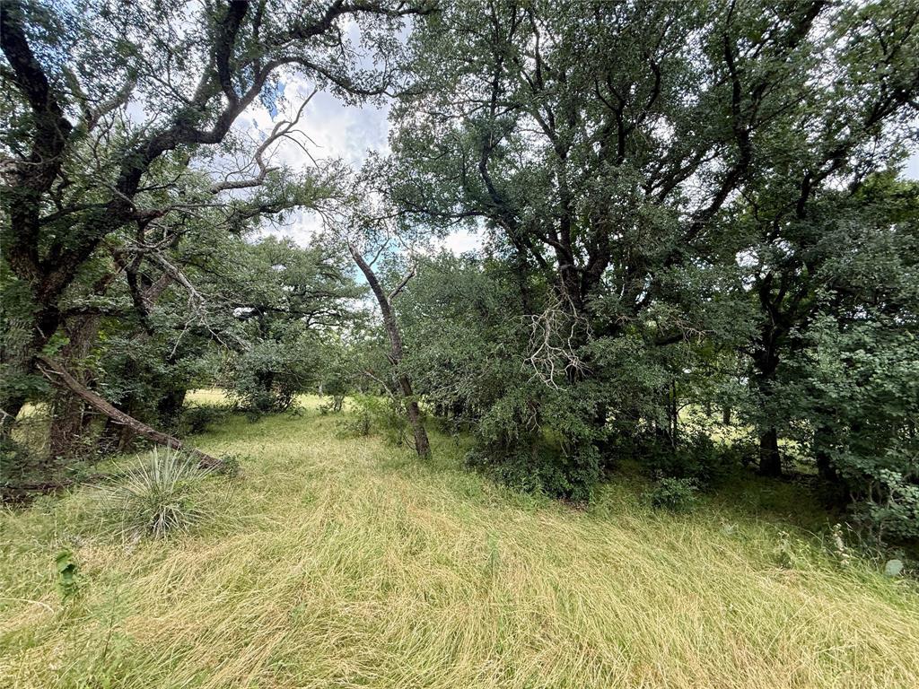 2840 County Road 404 Property Photo 22