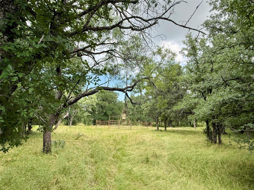 2840 County Road 404 Property Photo 25