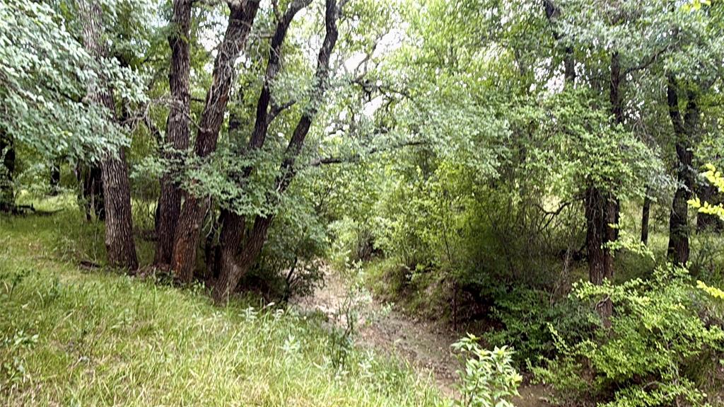 2840 County Road 404 Property Photo 27