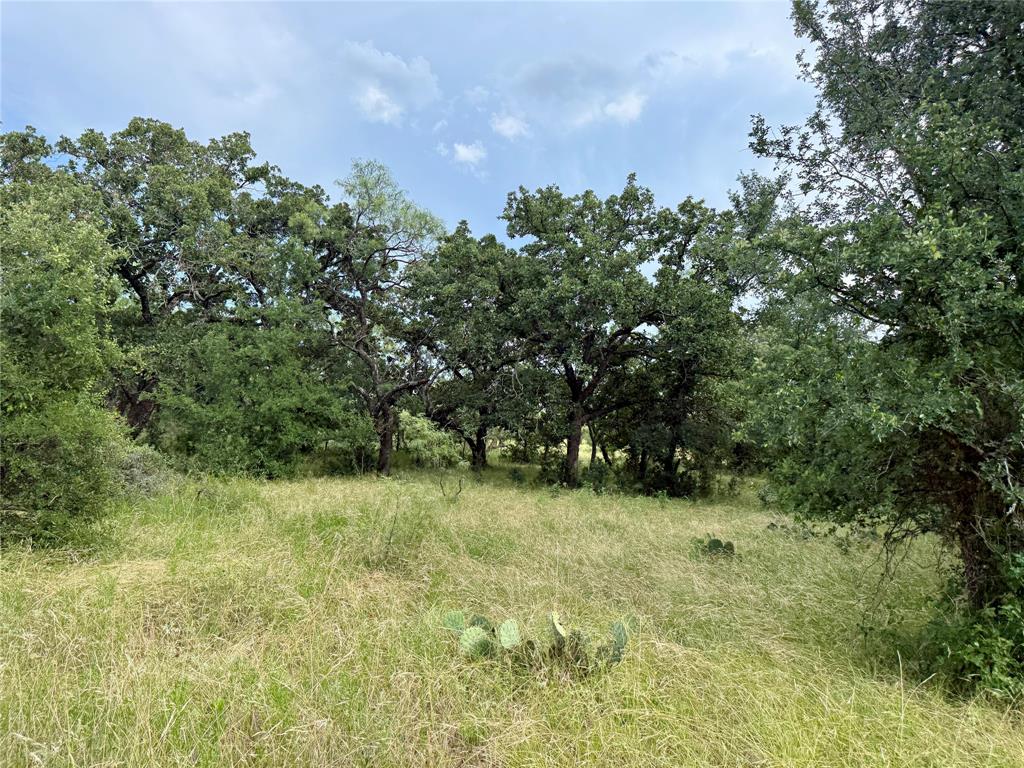 2840 County Road 404 Property Photo 31