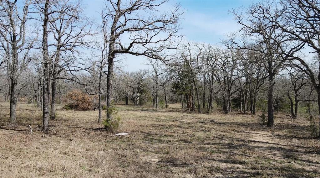 3292 Highway 31 Property Photo 2
