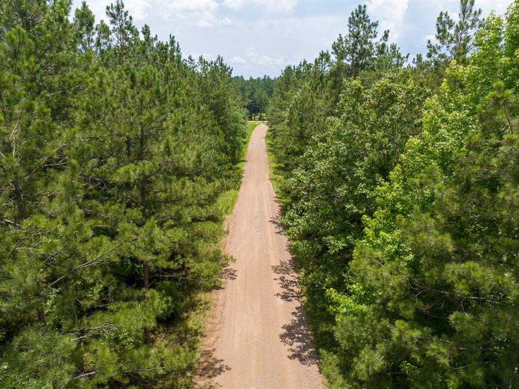 1 Posey Webb Camp Road Property Photo 9
