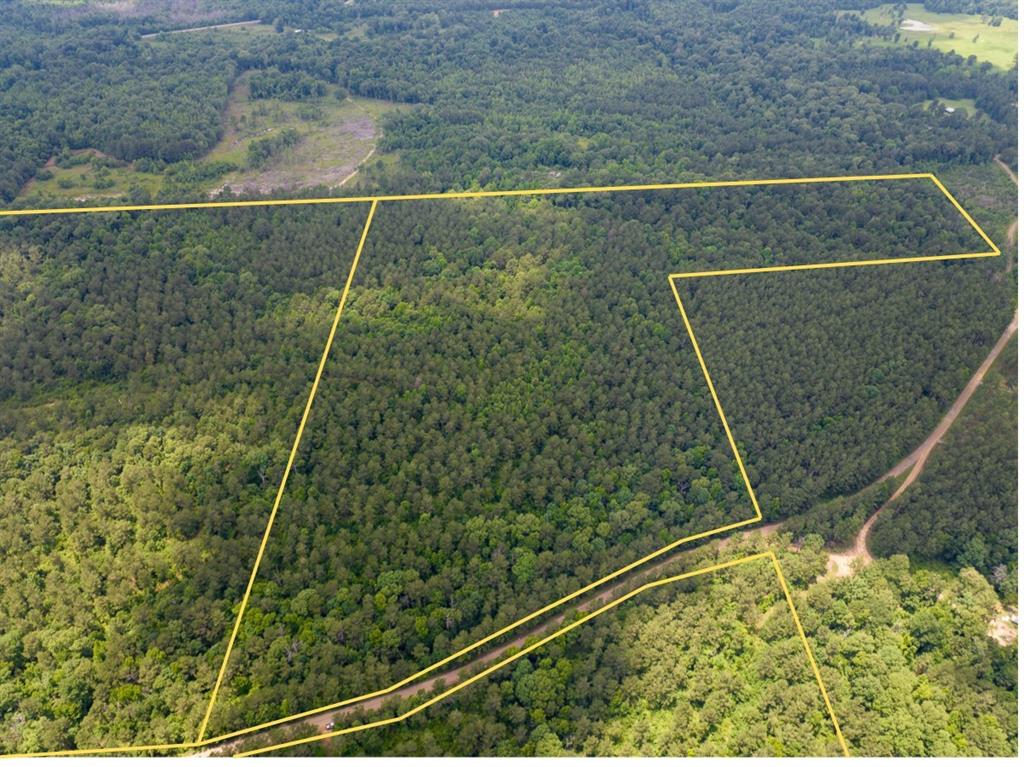 2 Posey Webb Camp Road Property Photo 2