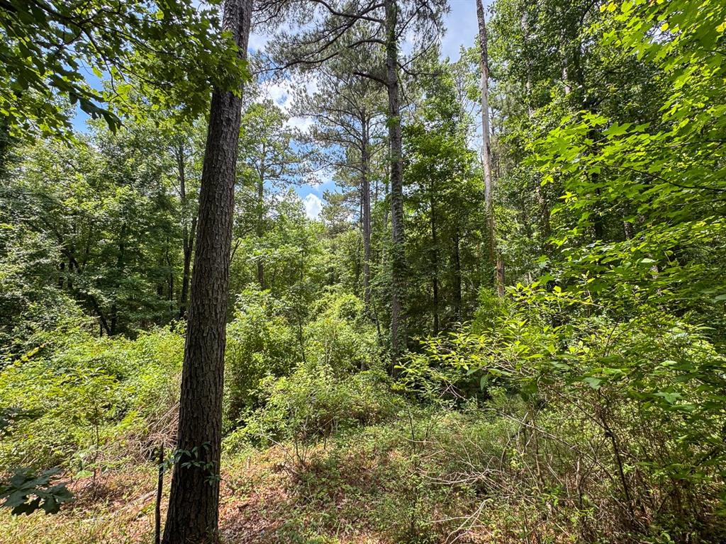 2 Posey Webb Camp Road Property Photo 7