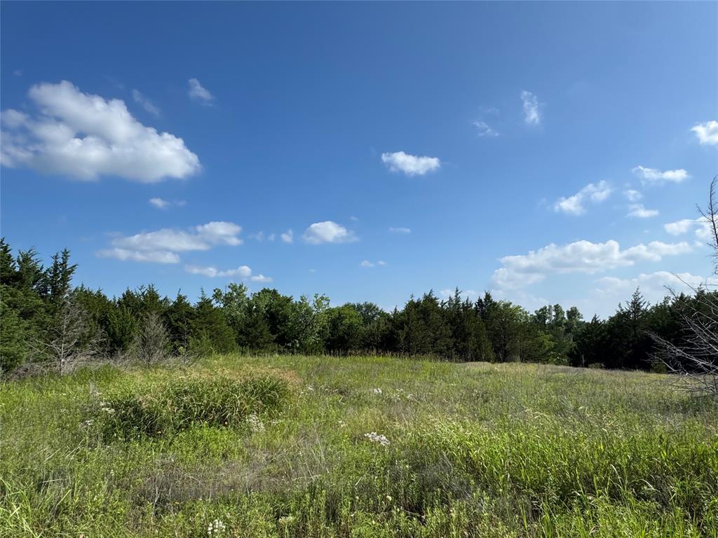 5909 Farm Road 38 Property Photo 6