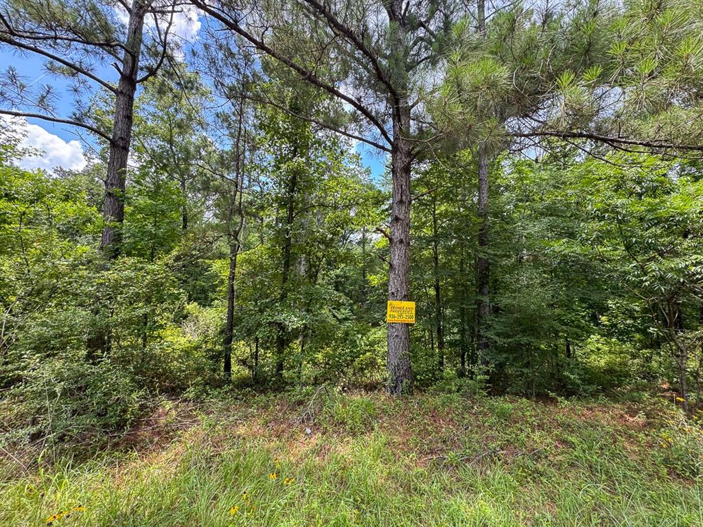 3 Posey Webb Camp Road Property Photo 4