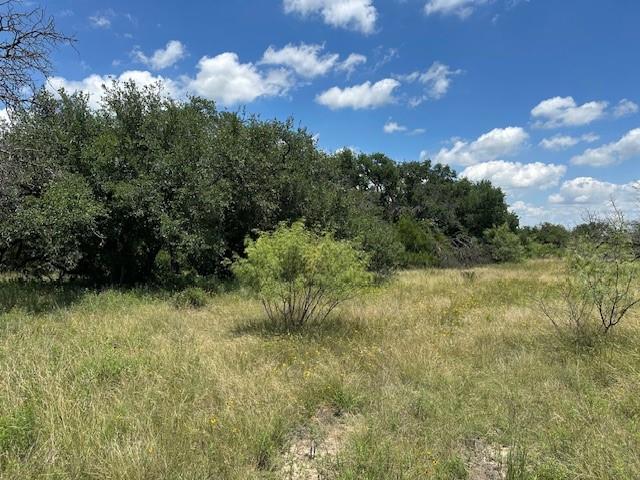 000 Tract 19, 165 County Road Property Photo 3