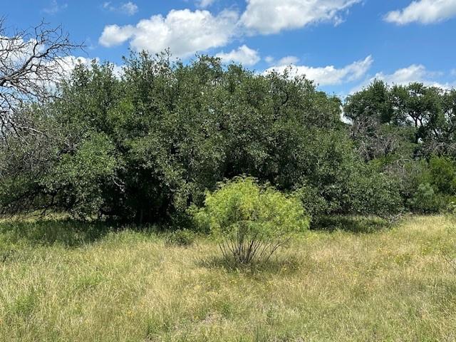 000 Tract 19, 165 County Road Property Photo 4