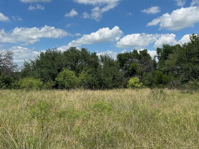 000 Tract 19, 165 County Road Property Photo 6