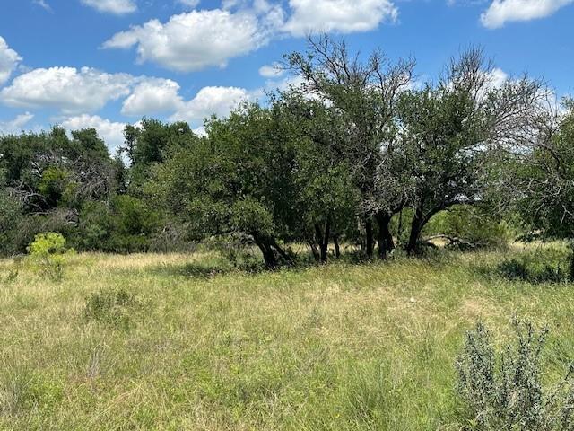 000 Tract 19, 165 County Road Property Photo 7