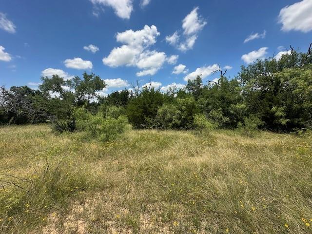 000 Tract 19, 165 County Road Property Photo 8