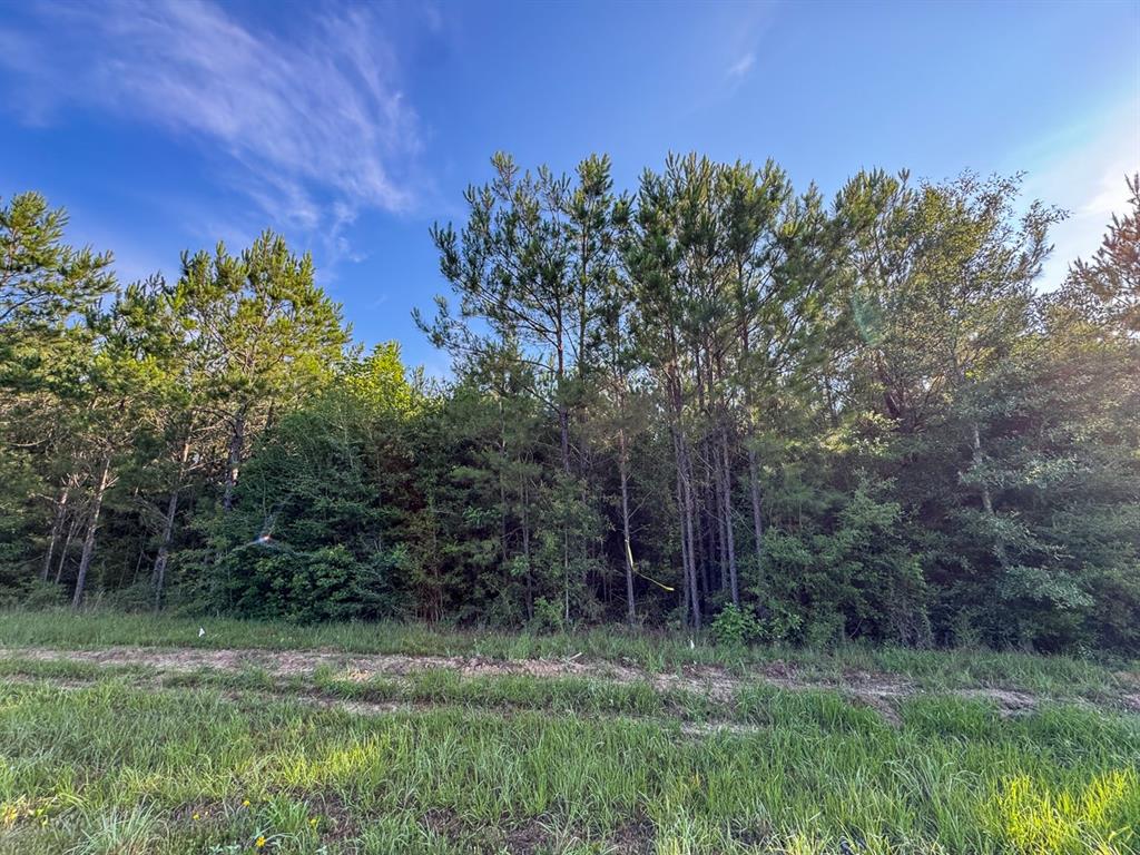 4 Highway 10 Property Photo 5