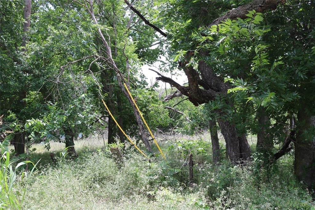 000 County Road 282 Property Photo 2