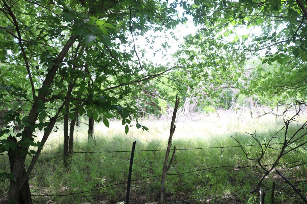 000 County Road 282 Property Photo 3