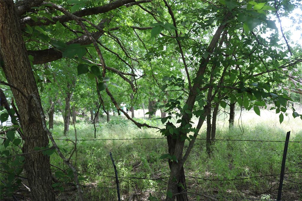 000 County Road 282 Property Photo 4