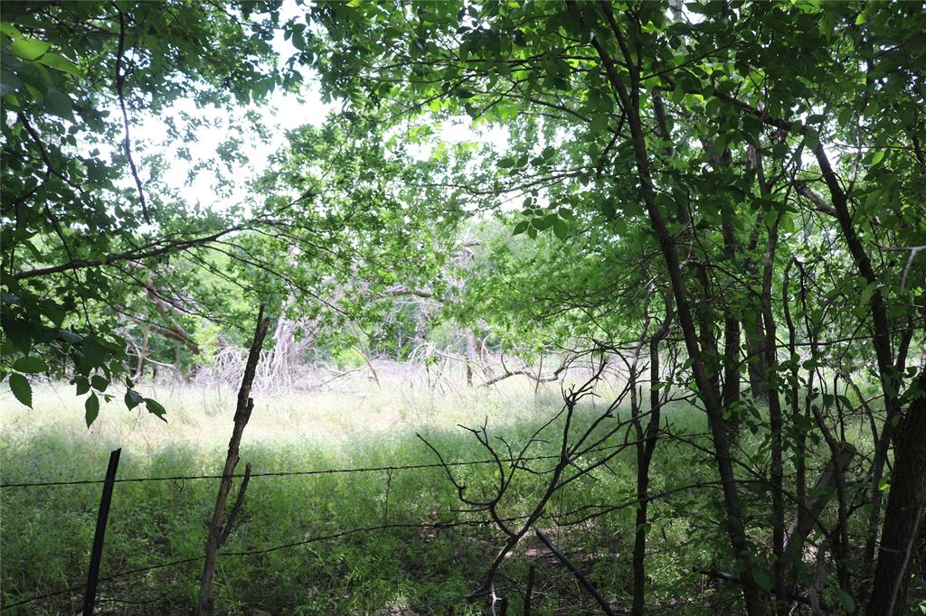 000 County Road 282 Property Photo 5