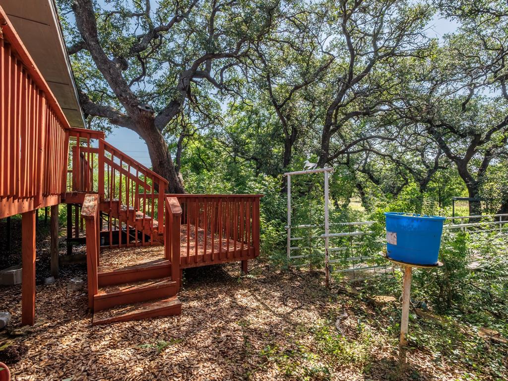 13601 Highway 377 Property Photo 19