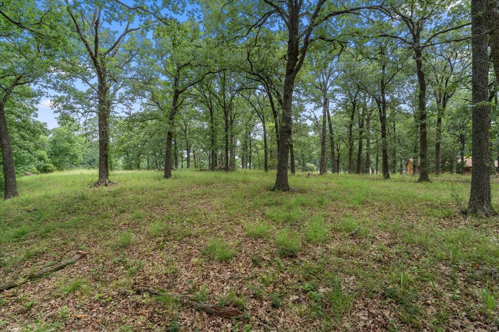 78 & 79 Tall Oaks Drive Property Photo 1
