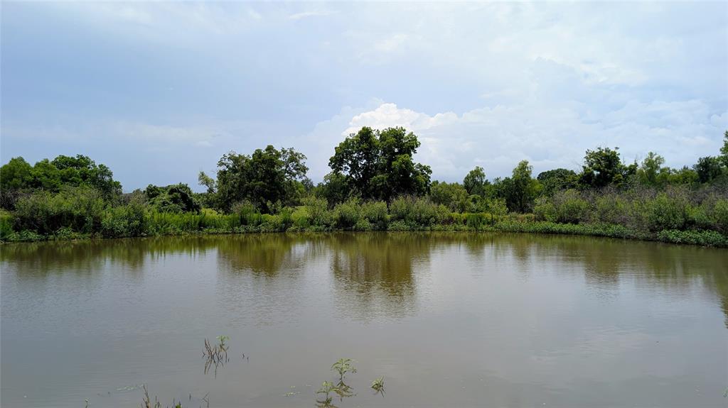 458 Fm 1600 Property Photo 34