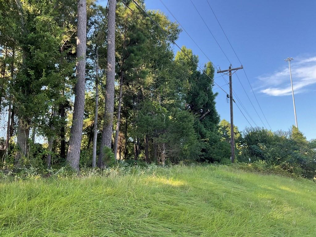 4000 Ellen Trout Drive Property Photo 5